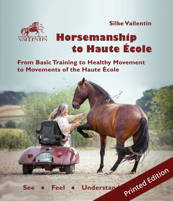 Horsemanship to Haute École