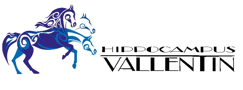 Hippocampus-Horsemanship