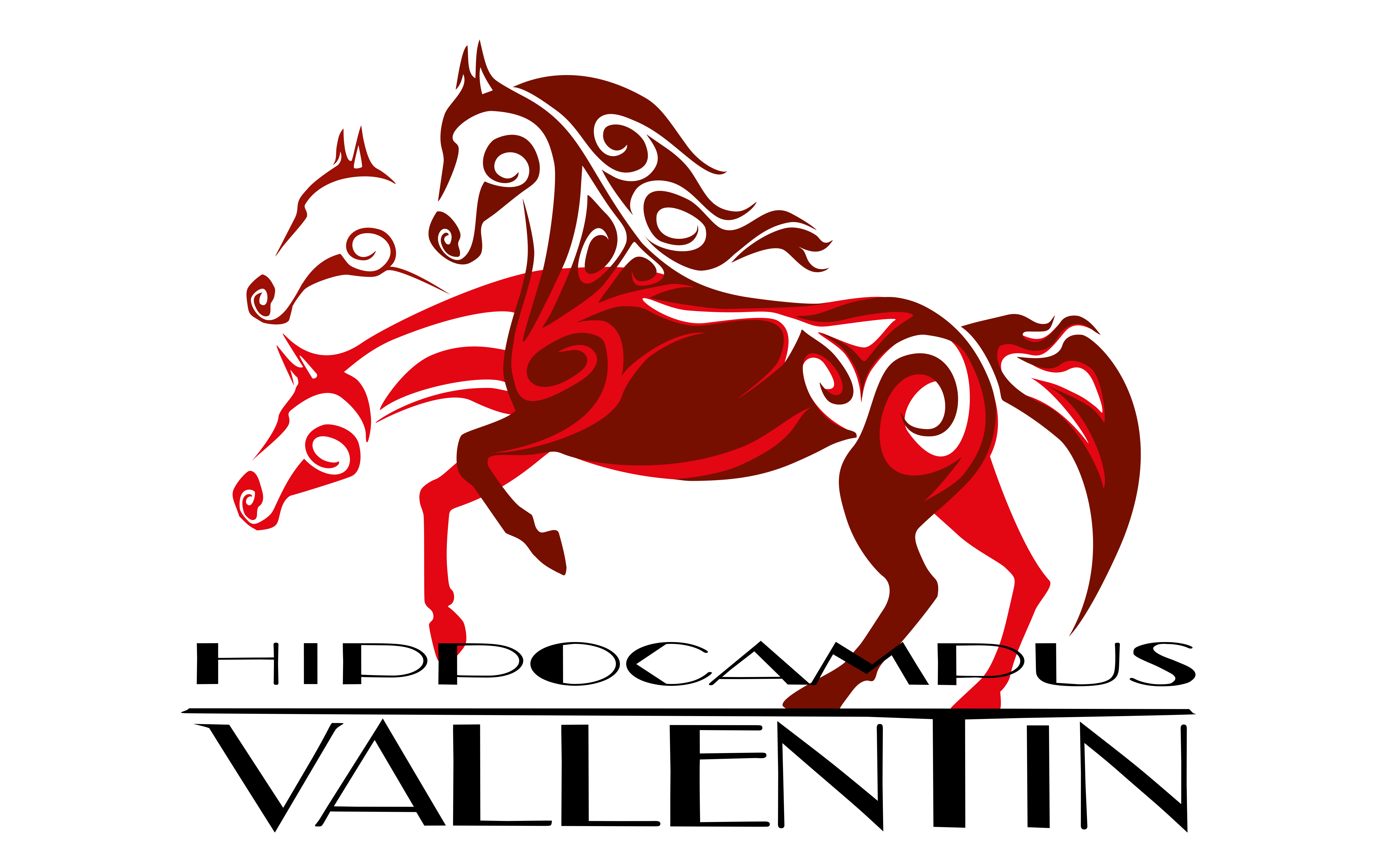 Logo Hippocampus Vallentin